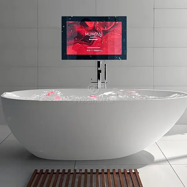 bathroom mirror TV